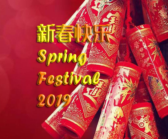 Spring Festival 2019